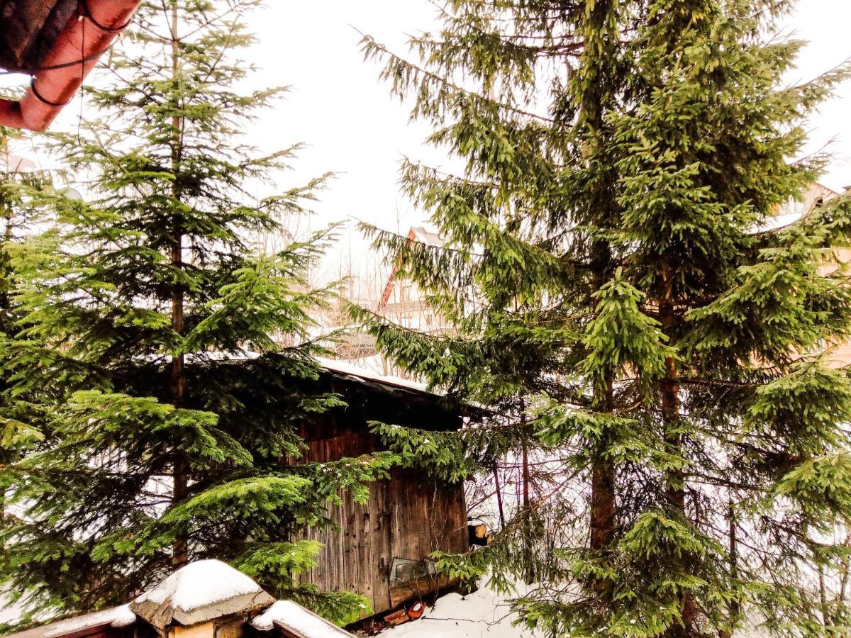 Double Room Mountain View